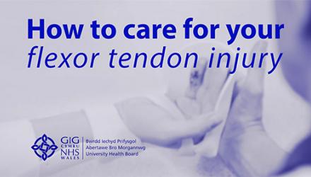 flexor-tendon-video-500x